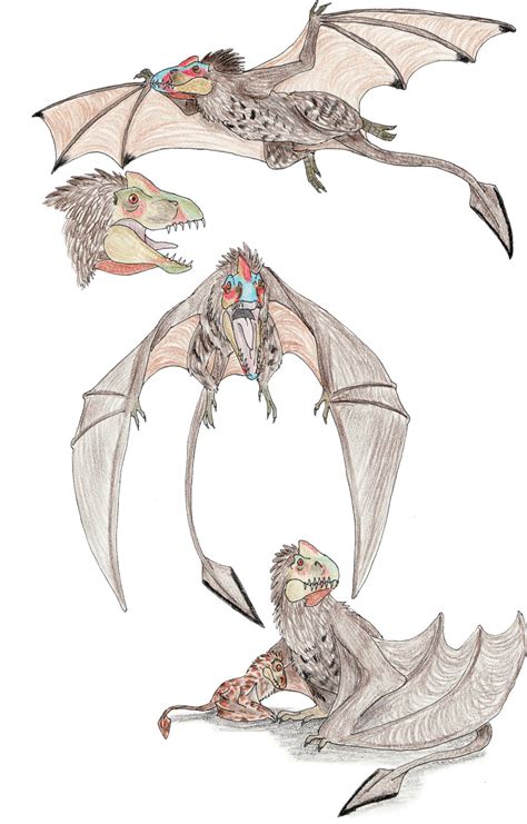 Wyvern by DragonlordRynn on DeviantArt