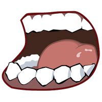 Download Mouth Transparent HQ PNG Image | FreePNGImg