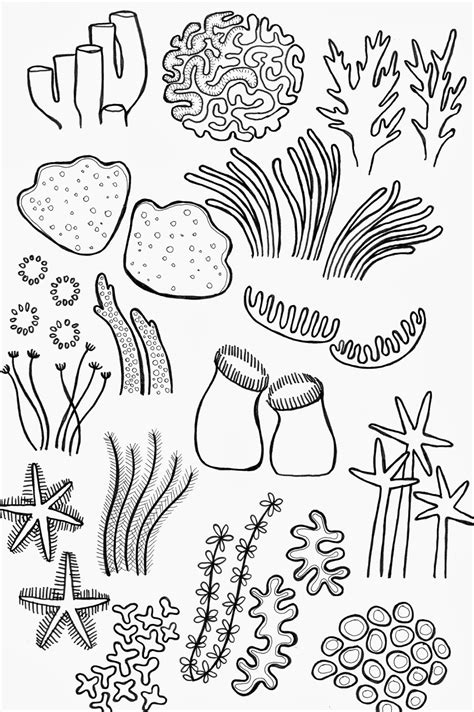 Cartoon Coral Reef Ecosystem Drawing | Free Printable Math Worksheets - Mibb-design.com