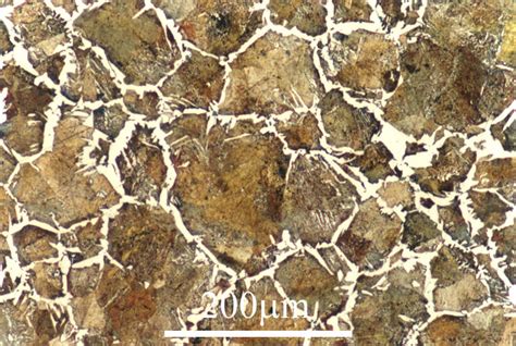 Hypoeutectoid steel, normalised at 1100ºC | DoITPoMS, Univer… | Flickr