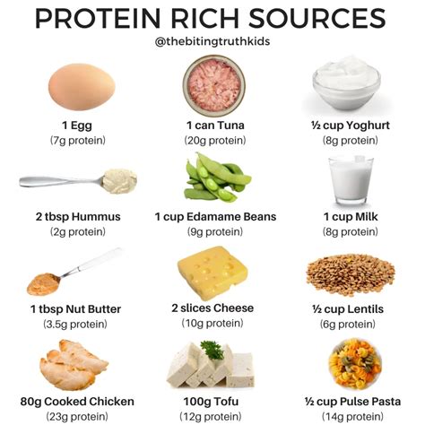 The Low Down On Protein For Kids | Only About Children