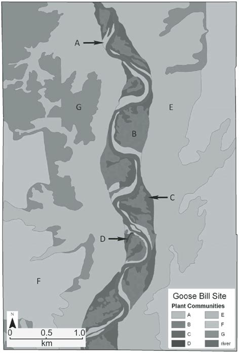 Distribution of plant communities (map types A-G) in the Marias River... | Download Scientific ...