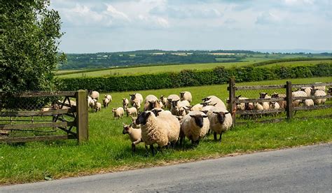 What Are The Major Natural Resources Of The United Kingdom? - WorldAtlas