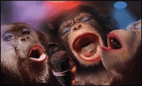 three monkeys with their mouths open singing into microphones