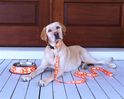 Photos: Whataburger launches new merchandise line for pets