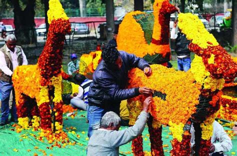 Visit The Most Celebrated Flower Festival: The Rose Festival Chandigarh