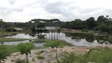 BANGALORE'S LALBAGH LAKE FULL FOR FIRST TIME IN A DECADE - YouTube