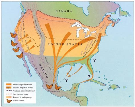 Monarch migration routes in the fall [900x715] : r/MapPorn