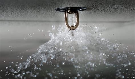 Why sprinkler systems are a good idea | Fire sprinkler system, Fire ...