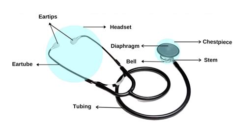 Parts of Stethoscope: A Comprehensive Overview