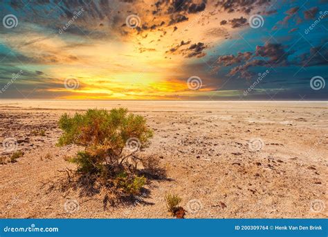 Australian Outback Scenery Royalty-Free Stock Photography ...