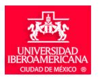 Universidad Iberoamericana - Currículum COPSA.