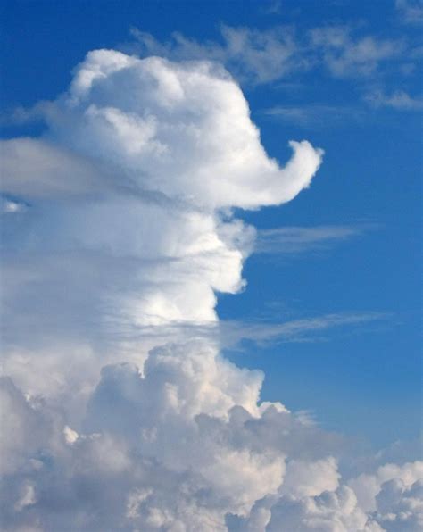 Elephant cloud | larger Nothing much was going on at the ref… | Flickr