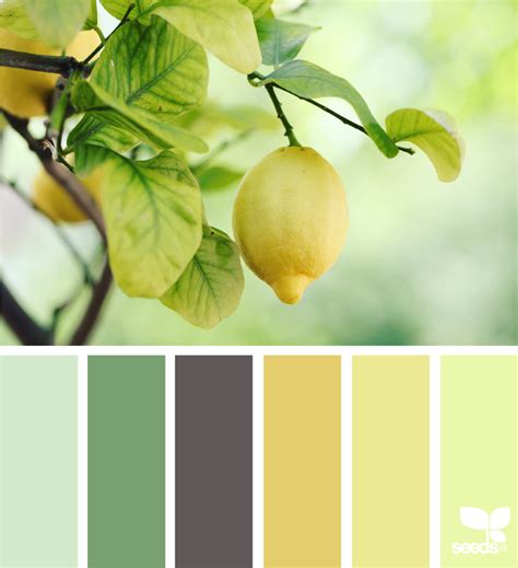 Color Nature | Seeds color palette, Design seeds, Seeds color