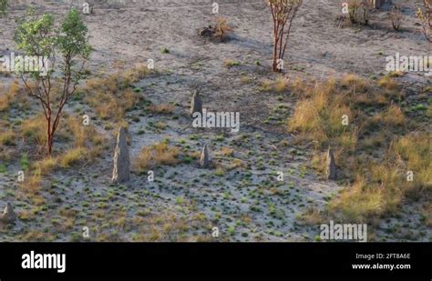 Australian outback culture Stock Videos & Footage - HD and 4K Video Clips - Alamy