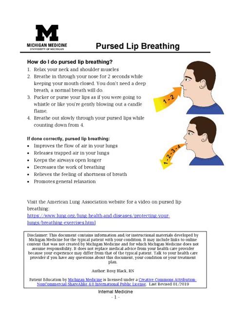 Pursed Lip Breathing Pdf 86529 | Diaphragmatic Breathing Techniques