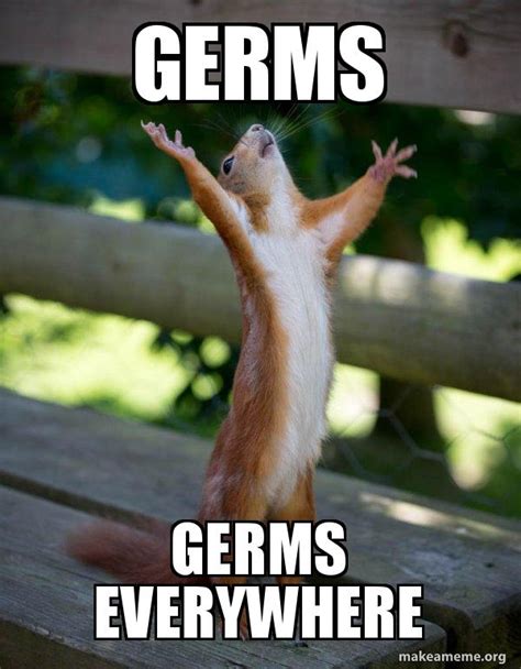 GERMS GERMS EVERYWHERE - Happy Squirrel | Make a Meme