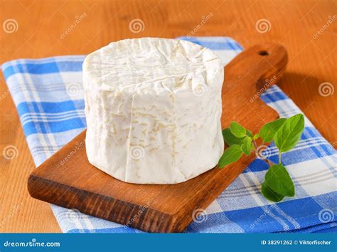 Chaource cheese stock photo. Image of napkin, shot, cutting - 38291262