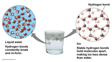 Lesson 10: Properties of Water