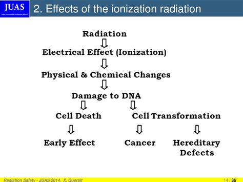 PPT - Definitions Effects of the ionization radiation Natural background Medical application ...