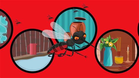 Dengue Prevention Animation on Behance