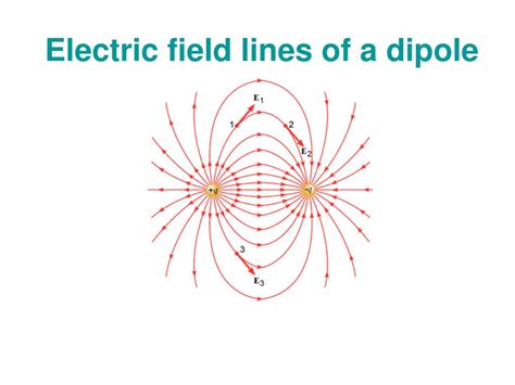 PPT - 18.7 Electric Field Lines PowerPoint Presentation, free download ...