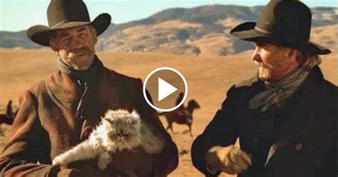 Cowboys Herding Cats Commercial! | Catlov