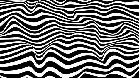 Zebra pattern wallpaper on wavy lines style. Black and white background ...