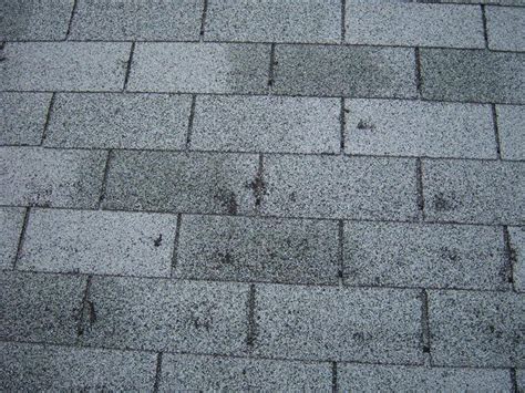 shingles Archives - Lyons Roofing