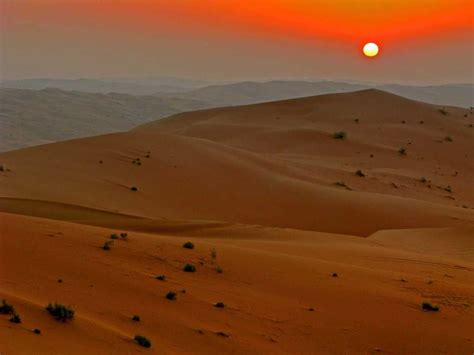 Desert Safari in UAE 2024 - Top Places, Operators, & Cost