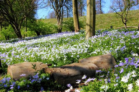 Leeds Castle, Gardens | Mrs Airwolfhound | Flickr