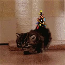 Christmas Cat Christmas Tree GIF - ChristmasCat ChristmasTree Xmas ...