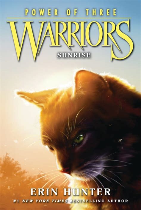 Warrior Cats Book Covers - Adazing