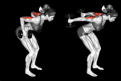 Triceps Kickbacks Exercise - Benefits, How to do? - Variations