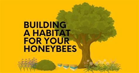 Honey Bee Habitats: How To Make A Honey Bee Habitat