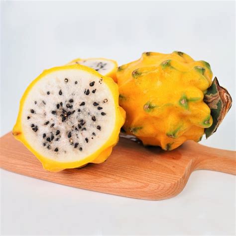 Golden Dragon Fruit Yellow Dragonfruit Hylocereus megalanthus - 15 Seeds