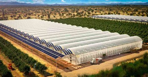 This Solar Panel Farm Grows 17,000 Tons Of Food Without Pesticides!