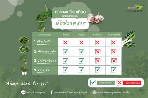 ผักผลไม้ปลอดสารพิษ vs ผักผลไม้ออร์แกนิคต่างกันอย่างไร - chitaorganicfood