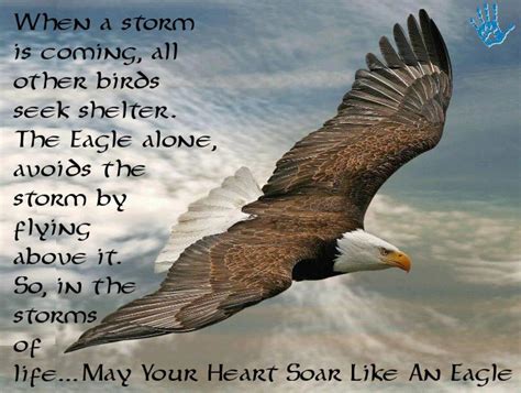 On the Wings of Eagles (an Inspirational Poem) - LetterPile