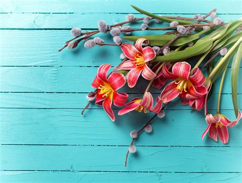 Image tulip flower Wood planks