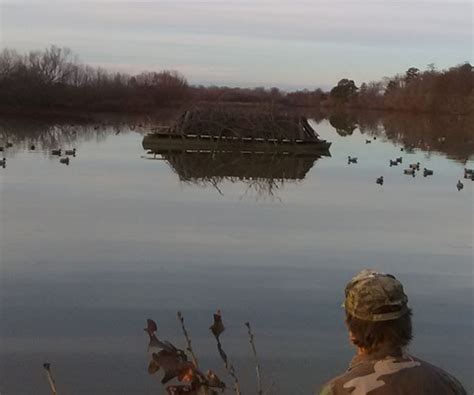 Guided Duck Hunting in Arkansas