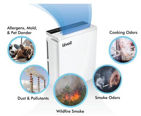 Got Pets? Here’s Help Deciding Which Air Purifier Is Best for Pet Dander