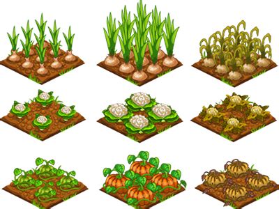 clipart of crops 20 free Cliparts | Download images on Clipground 2024