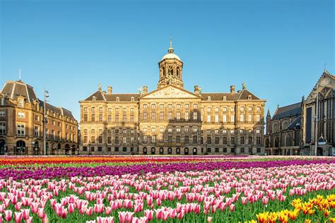 24 Top-Rated Tourist Attractions in Amsterdam | PlanetWare