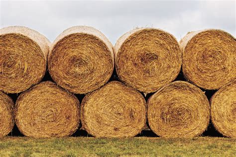 Stacking hay bales properly to reduce storage losses