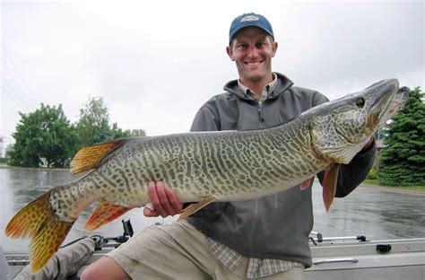 Muskie vs Pike: An Angler's Guide | Outdoor Life