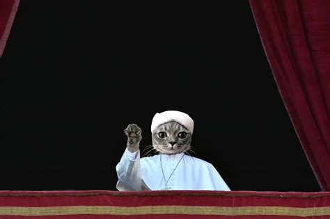 Pope cat Blank Template - Imgflip