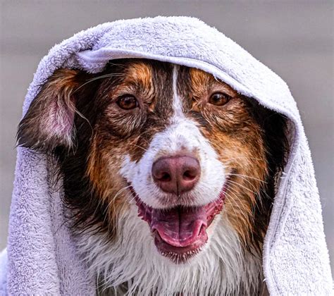 Indy's hottest temperatures of the year start Thursday, NWS says