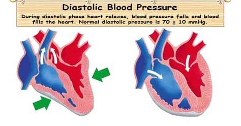 Diastolic Blood Pressure DBP | Normal Diastolic Blood Pressure