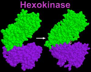 Concepts in Biochemistry - Structure Tutorials